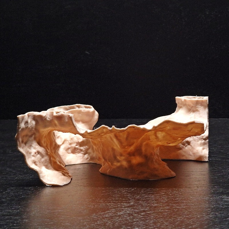 3D Printing Lizard - Terowongan Akuarium 3D Print, Tempat Berlindung,