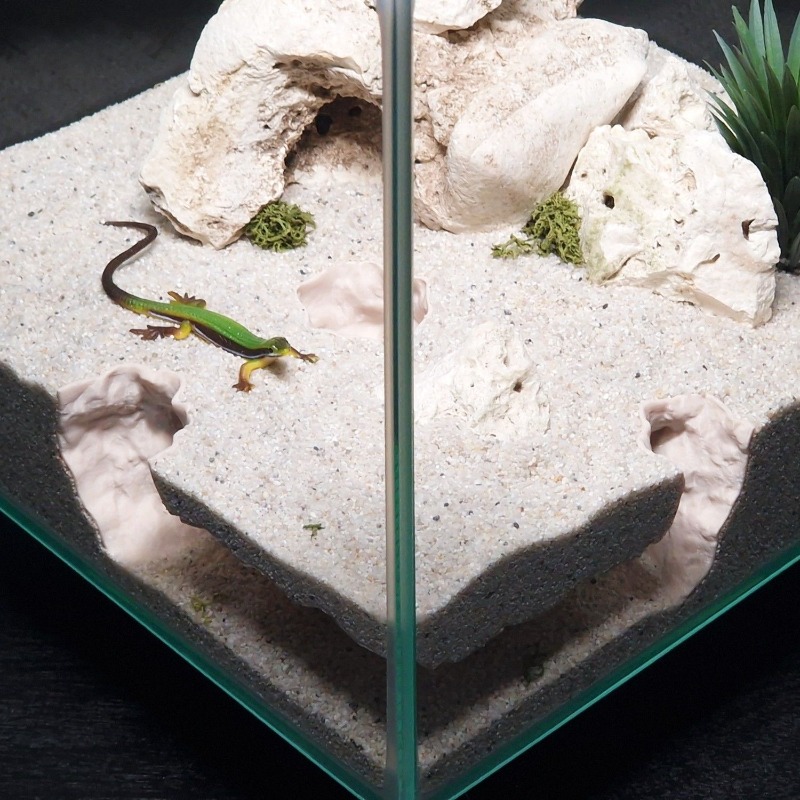 Terowongan Akuarium 3D Print,  - 3D Printing Lizard ulasan dan harga