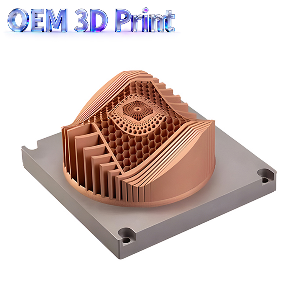 Layanan pencetakan 3D SLM khus - 3D Printing Titanium ulasan dan harga
